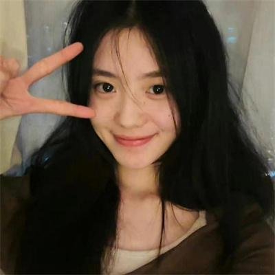 哈兰·科本的庇护所